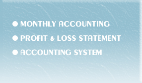 florida accountant